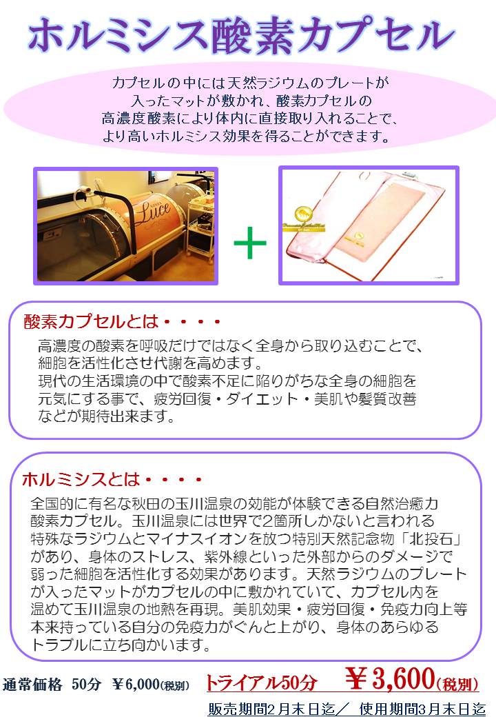 スライド12