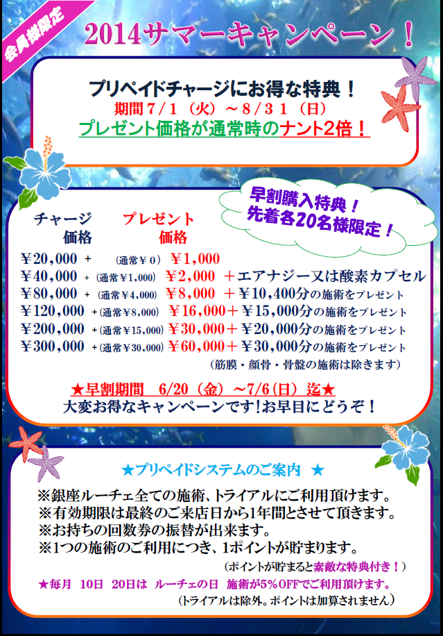 サマーキャン写真